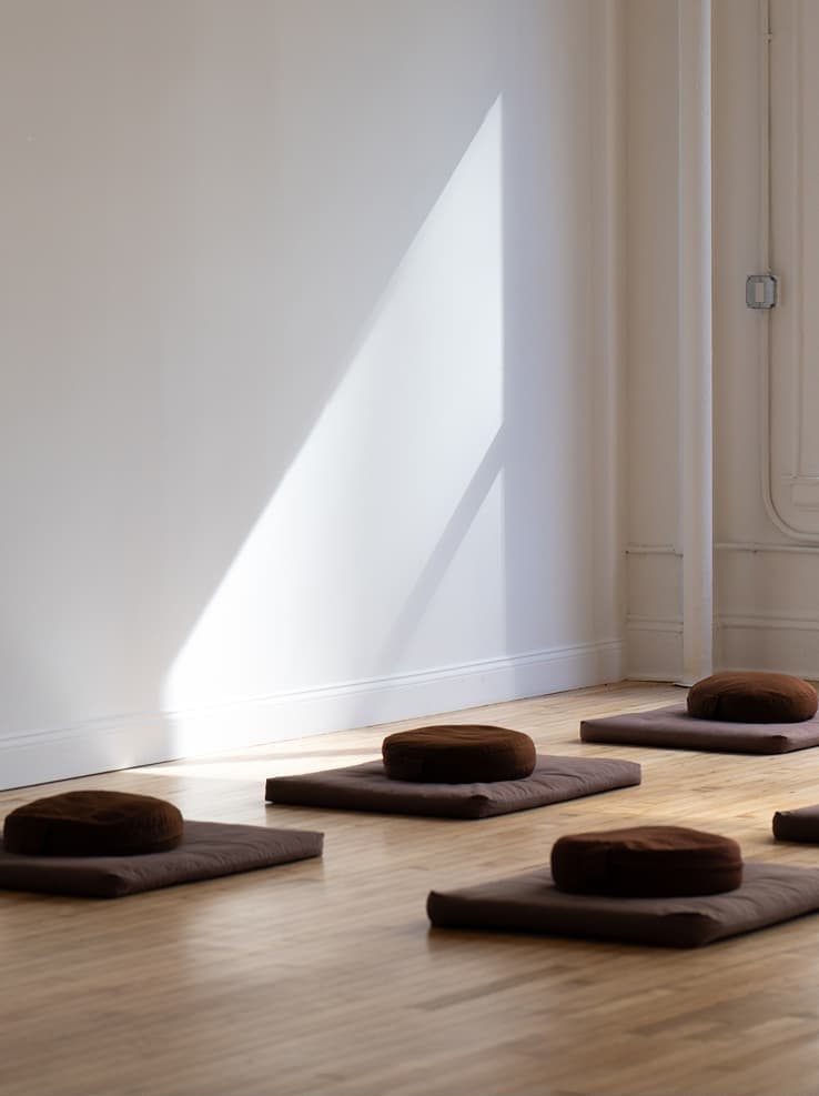 Meditation cushions