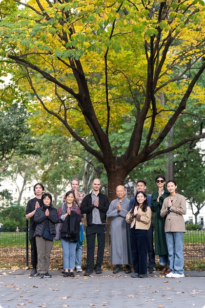 tree in meditation center